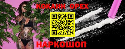 прущие крисы Кингисепп
