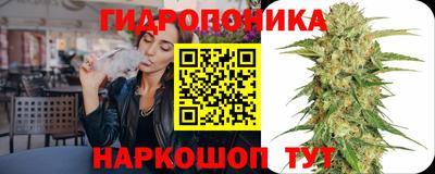 прущие крисы Кингисепп