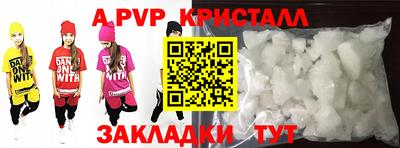 прущие крисы Кингисепп