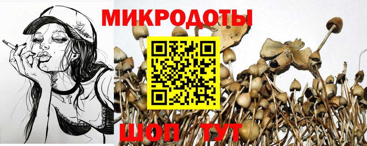 Галлюциногенные грибы GOLDEN TEACHER  Вход с VPN  Унеча 