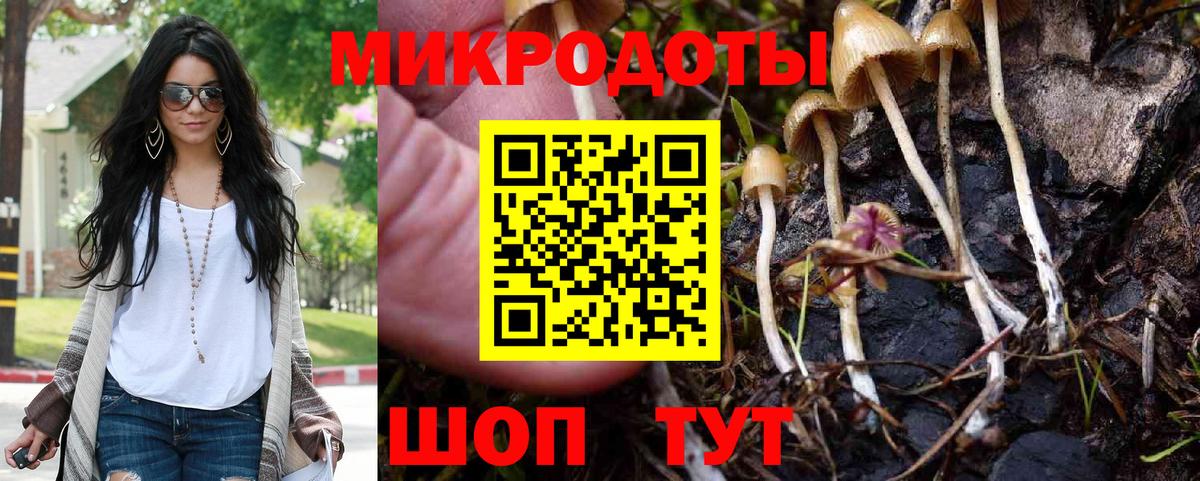 Галлюциногенные грибы Magic Shrooms Унеча